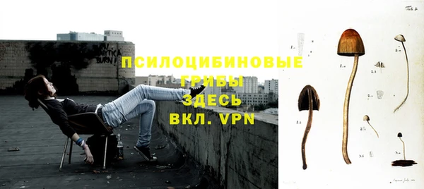 МДПВ Арсеньев