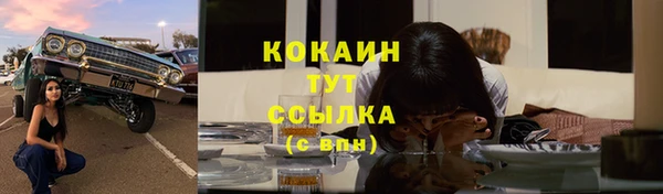 тгк Аркадак