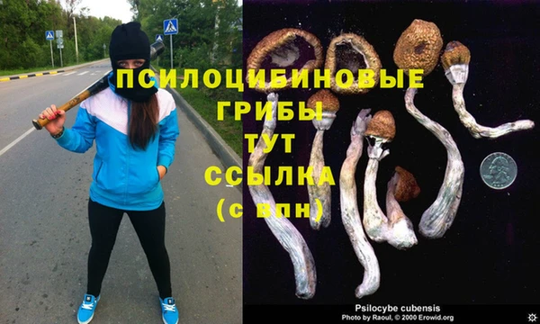 МДПВ Арсеньев