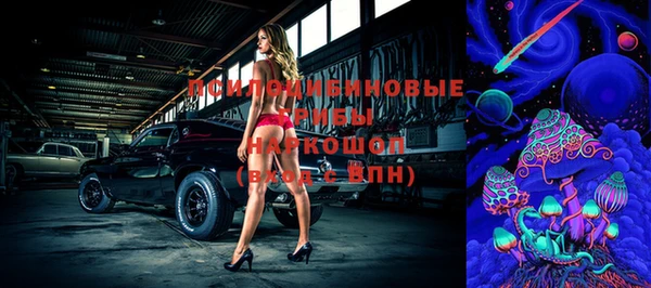 МДПВ Арсеньев