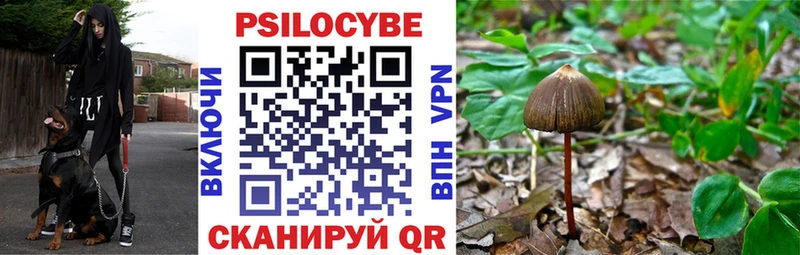 Галлюциногенные грибы MAGIC MUSHROOMS купить сайты Щигры